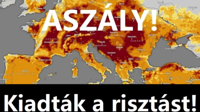 assz