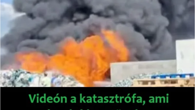 dsadsadasdas