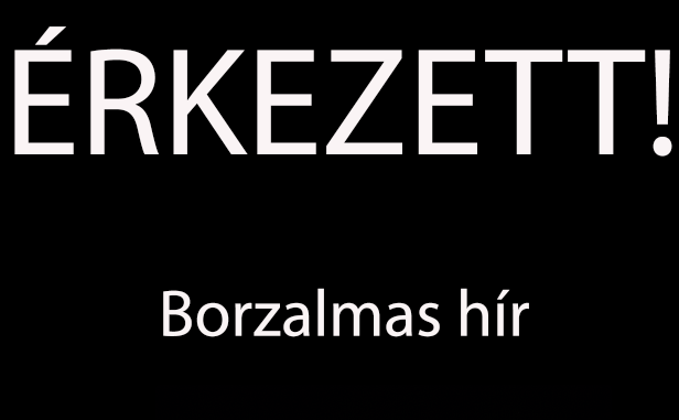 kokk