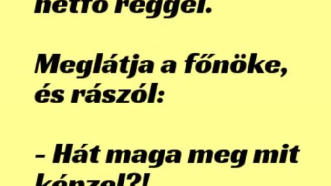 reggg