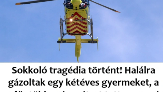 zazazazasd