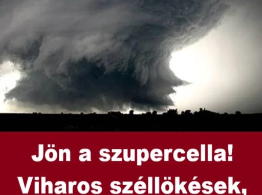jaja