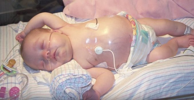 c1a8e70c3b2ce173502277625916673b